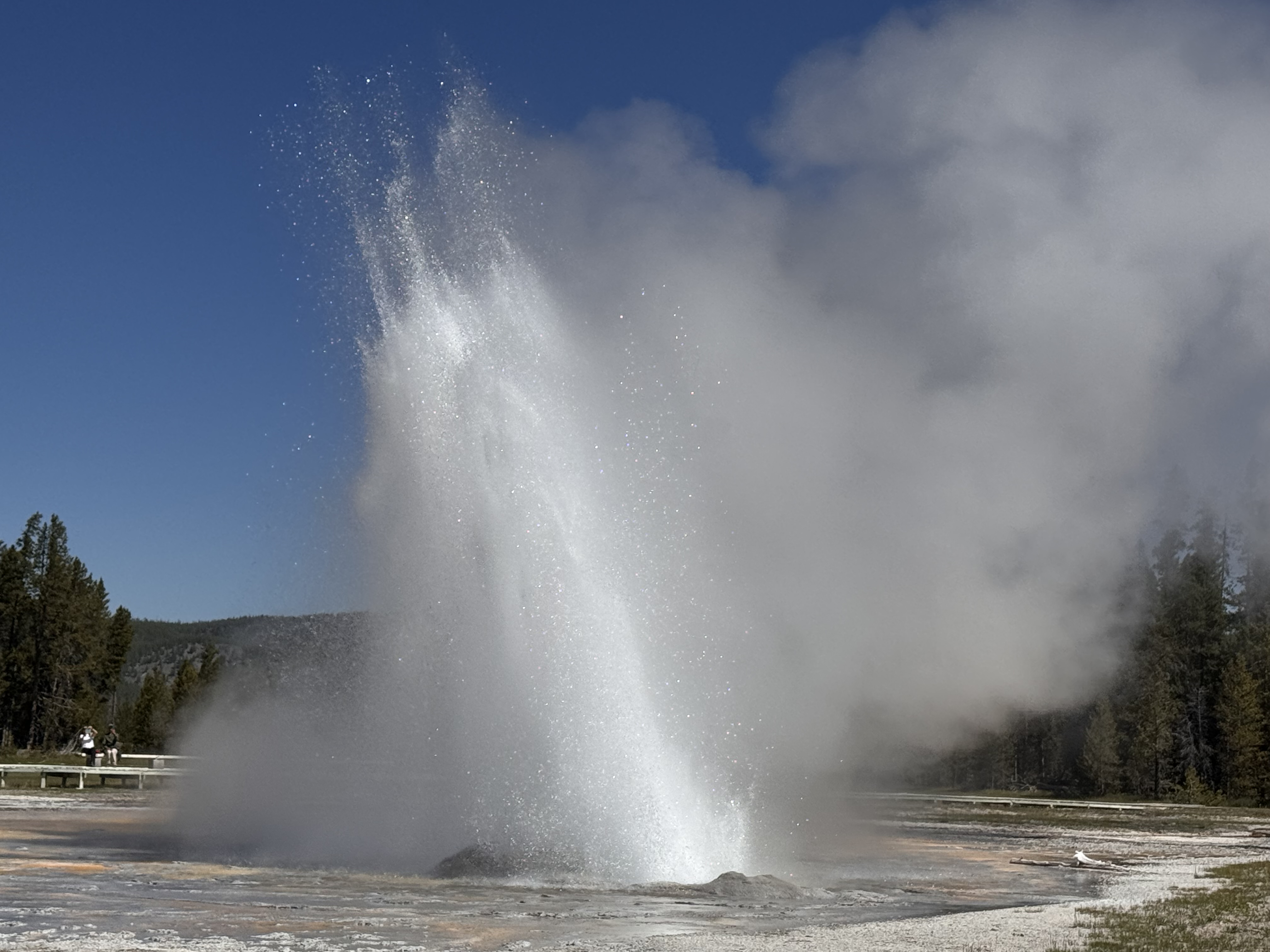 Our Family’s Yellowstone RV Adventure: Full Trip Wrap-Up